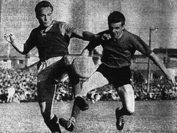 Woonona Ackerley Cropped