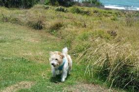 annie at lennox head